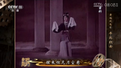cctv11戏曲