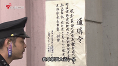 大湾区卫视高清