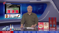 广东民生高清
