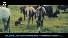 настоящее время