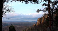 живая природа