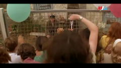 мтв волгоград