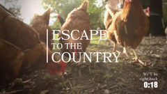 escape to the country