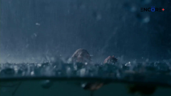 ช่อง encore plus