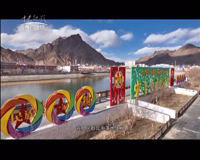 中央新影-发现之旅