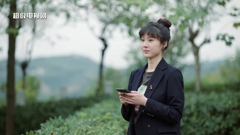 newtv超级电视剧 4m1080