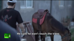 rt documentary english