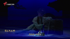 大湾区卫视高清