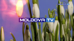 moldova tv