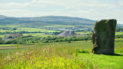 gardening with monty don