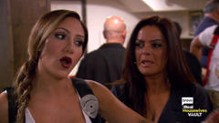 real housewives vault