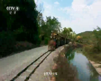 cctv-9 纪录
