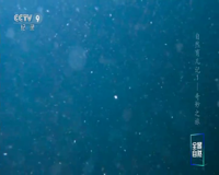 cctv-9 纪录