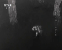 cctv-9 纪录