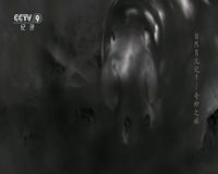 cctv-9 纪录
