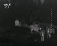 cctv-9 纪录