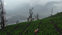 большая азия