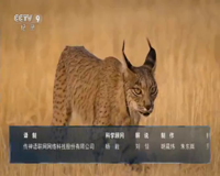 cctv-9 纪录