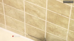 national geographic wild east