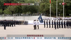 港臺電視31高清