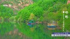 湖南张家界水绕四门