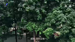 荥经综合
