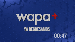 wapa plus