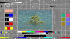 cctv-17hd