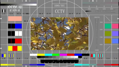 cctv-12hd