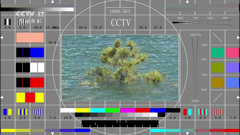 cctv-17hd