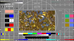 cctv-7国防军事