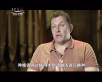 中央新影-发现之旅