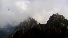 直播中国精编直播