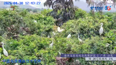 四川四姑娘山隆珠措