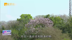 绍兴公共频道