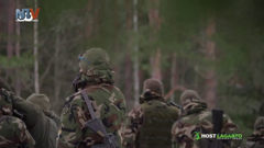 navarrete television