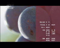 中央新影-发现之旅