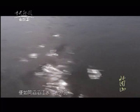 中央新影-老故事