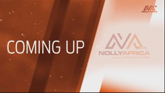 nolly africa